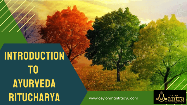 Ayurveda Ritu Charya: An Introduction